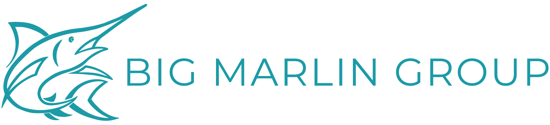 Big Marlin Group logo